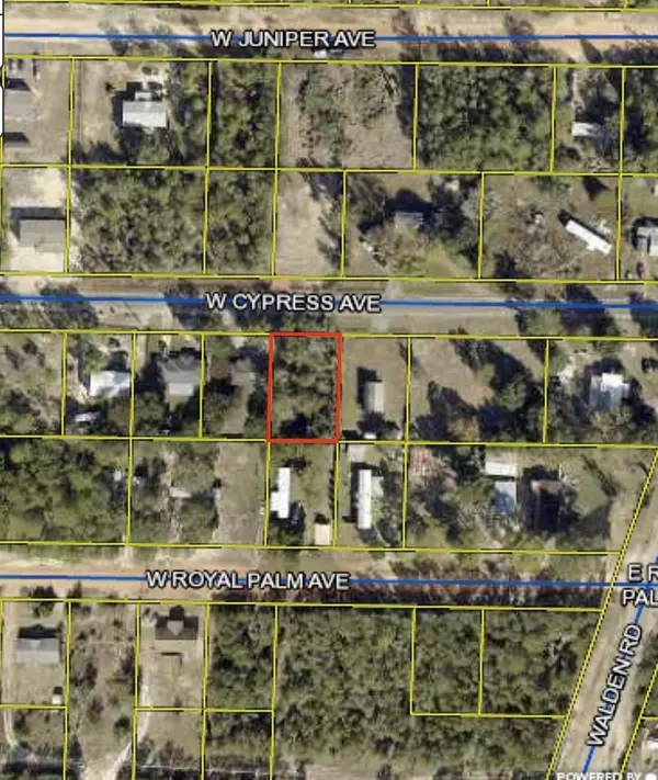 Defuniak Springs, FL 32433,XXX W Cypress Avenue