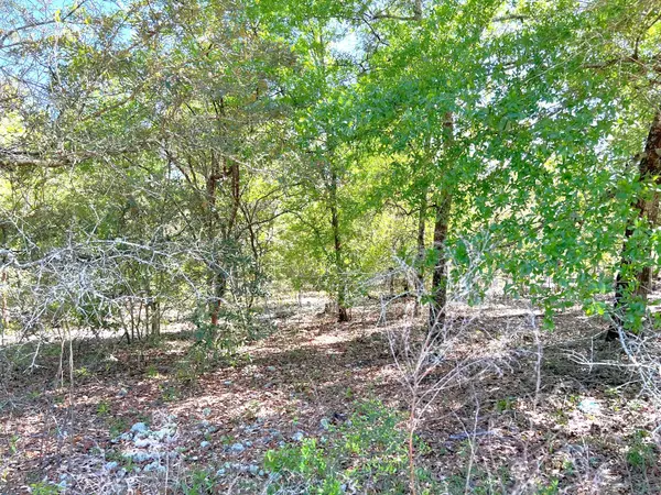 Defuniak Springs, FL 32433,Lot 28 Franck Drive