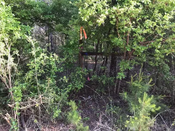 Crestview, FL 32539,XXX High Ridge Road