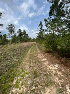 187 Don Graff Road, Freeport, FL 32439