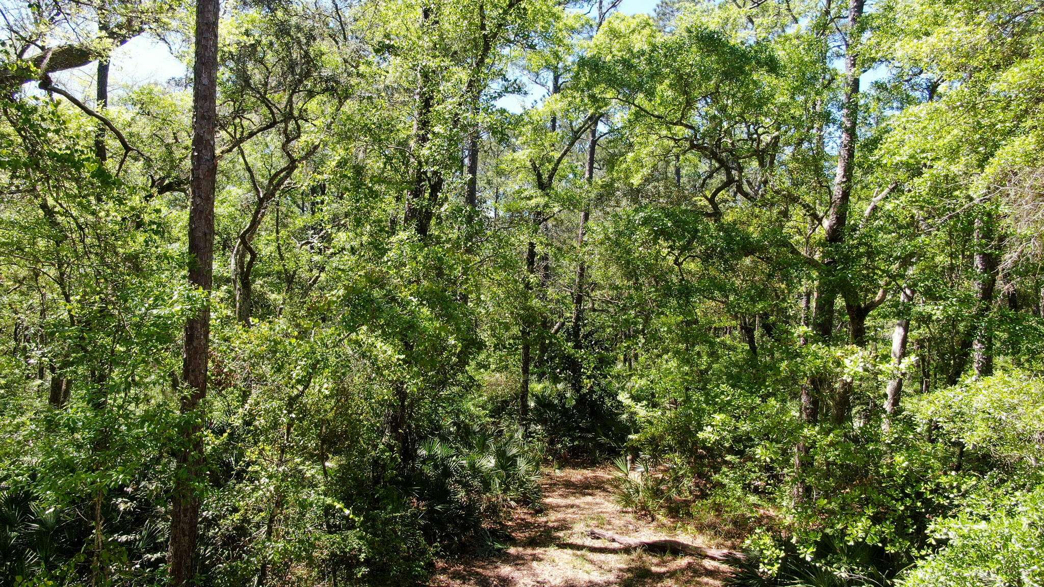 Freeport, FL 32439,lot #14 Formby Street