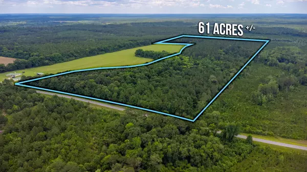 Laurel Hill, FL 32567,61.85 Acre Highway 602