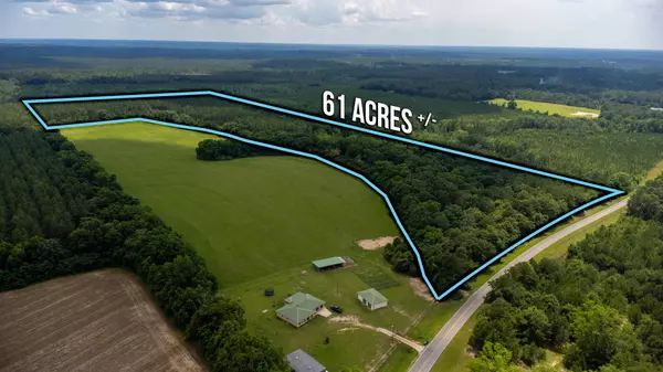 Laurel Hill, FL 32567,61.85 Acre Highway 602