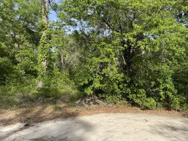 Freeport, FL 32439,Lot 35 Caswell Branch Road