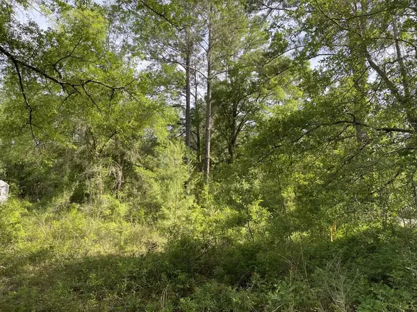 Freeport, FL 32439,Lot 35 Caswell Branch Road