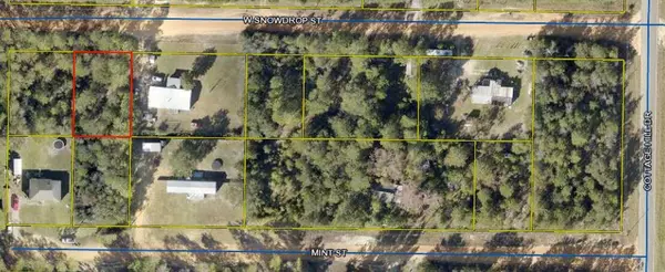 Lot 2 W Snowdrop Street, Defuniak Springs, FL 32433