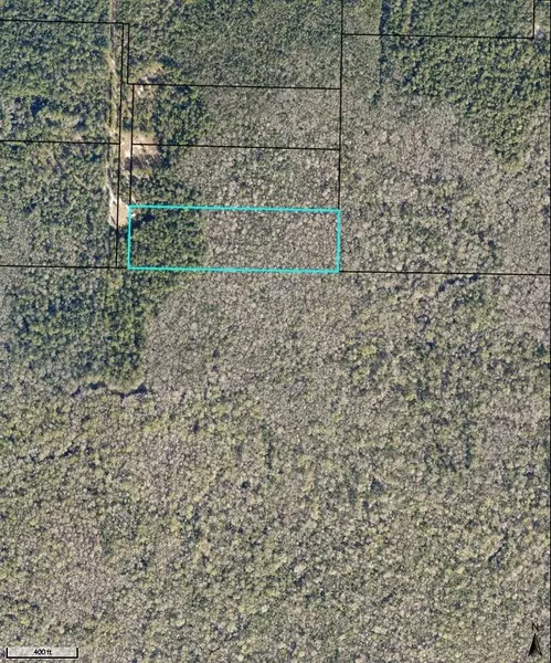 9 AC Nap Knob Lane, Holt, FL 32564