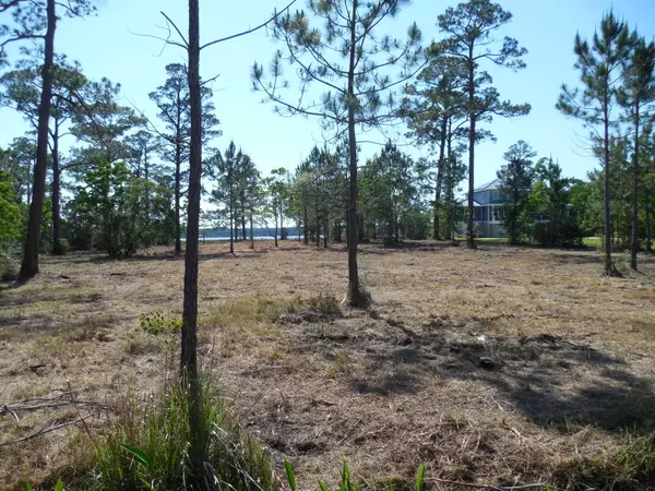 Milton, FL 32583,TBD Petersen Point Road  #Parcel 4