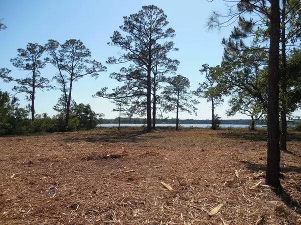 Milton, FL 32583,TBD Petersen Point Road  #Parcel 4