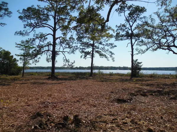 Milton, FL 32583,TBD Petersen Point Road  #Parcel 4