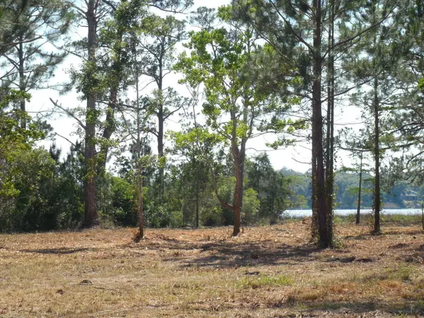 Milton, FL 32583,TBD Petersen Point Road  #Parcel 5