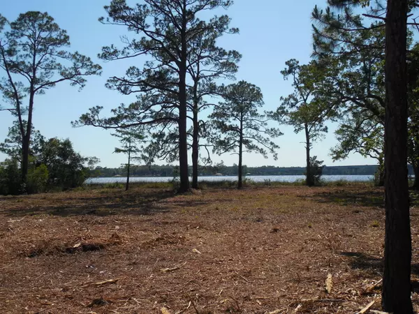 Milton, FL 32583,TBD Petersen Point Road  #Parcel 5