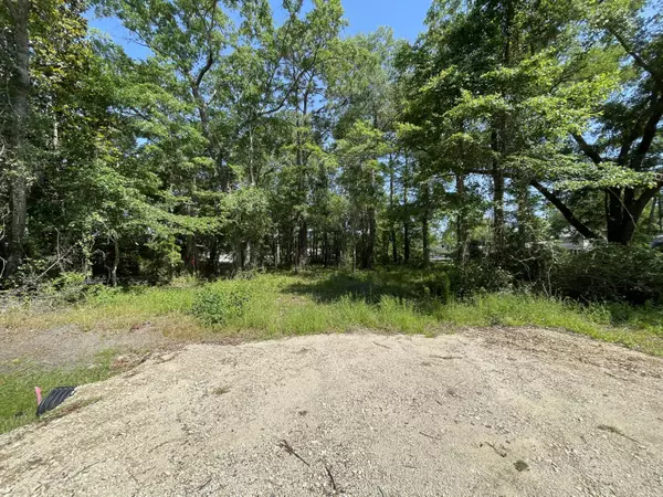 Freeport, FL 32439,Lot 21 E BAYOU FOREST Drive