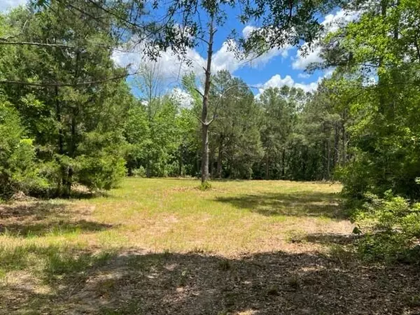 Defuniak Springs, FL 32435,9.5 AC E Co Highway 280