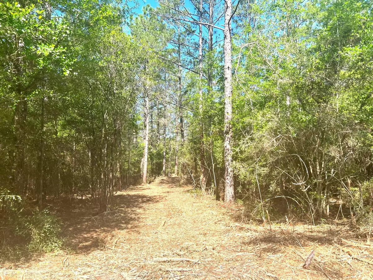 Defuniak Springs, FL 32433,4 Ac Seven Oaks Road