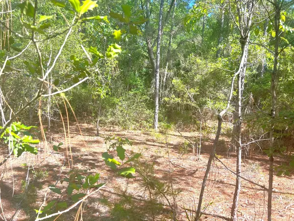 Defuniak Springs, FL 32433,4 Ac Seven Oaks Road