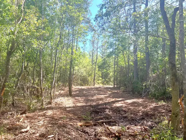 Defuniak Springs, FL 32433,4 Ac Seven Oaks Road