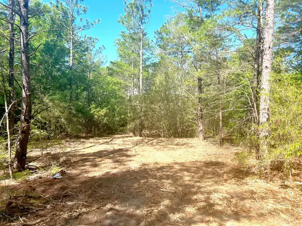 Defuniak Springs, FL 32433,4 Ac Seven Oaks Road