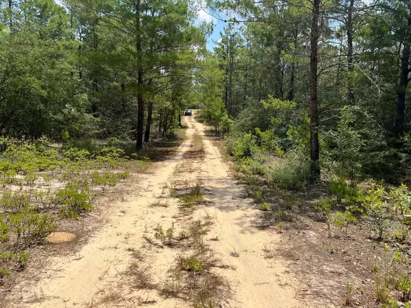 Defuniak Springs, FL 32433,Lot 2 Camelot Avenue