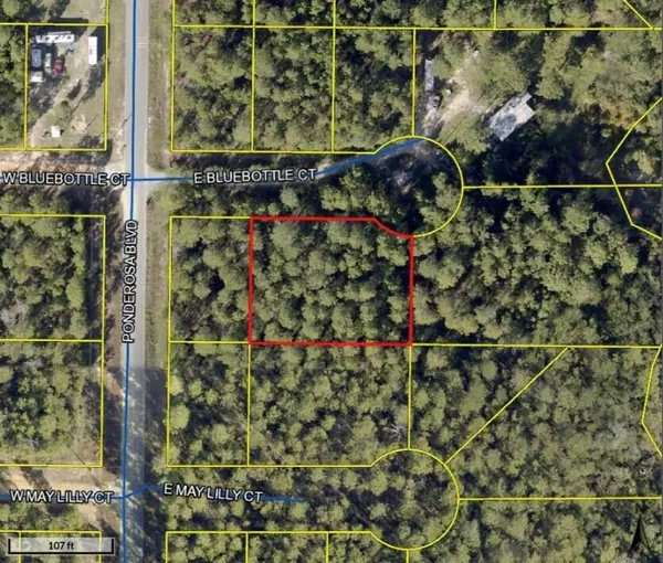 Defuniak Springs, FL 32433,0.459 AC Bluebottle Court