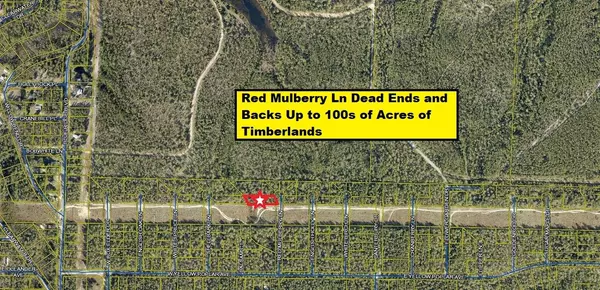 Defuniak Springs, FL 32433,Lot 6 Red Mulberry Lane