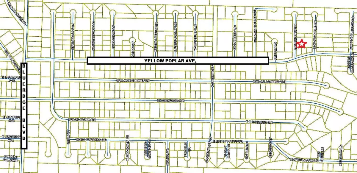 Defuniak Springs, FL 32433,Lot 7 Goldenrod Drive