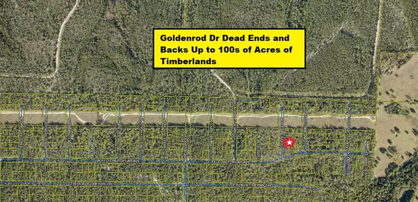 Defuniak Springs, FL 32433,Lot 7 Goldenrod Drive