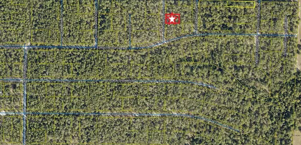 Defuniak Springs, FL 32433,Lot 7 Goldenrod Drive