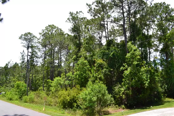 Lot 23&24 Garden Street, Santa Rosa Beach, FL 32459