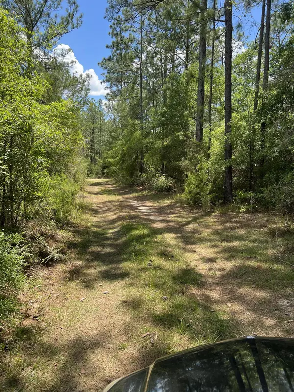 Laurel Hill, FL 32567,6933 Bill Lundy Road