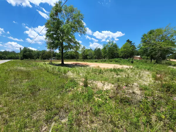 Defuniak Springs, FL 32433,Lot 1 Shorey Drive