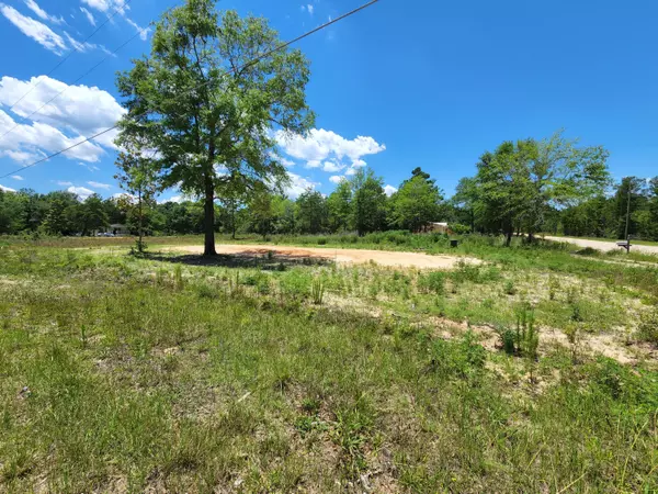 Defuniak Springs, FL 32433,Lot 1 Shorey Drive