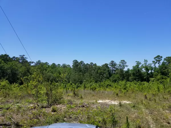 Ebro, FL 32437,5452 Capt Fritz Road