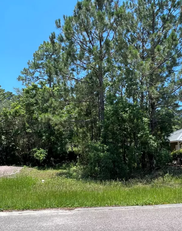 Santa Rosa Beach, FL 32459,Lot 15 Spotted Dolphin Road