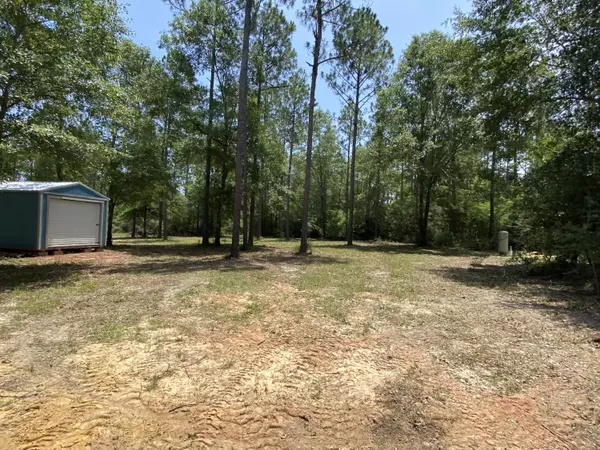 Laurel Hill, FL 32567,12.5 Ac XX E Chapel Road