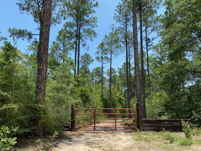 12.5 Ac XX E Chapel Road, Laurel Hill, FL 32567