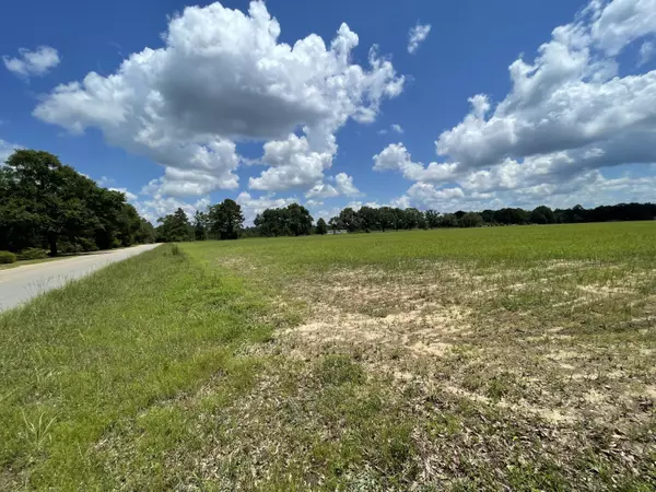 Holt, FL 32564,Parcel C Griffith Road