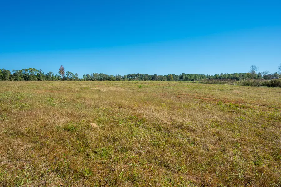 20A Acres Flowersview Boulevard, Laurel Hill, FL 32567