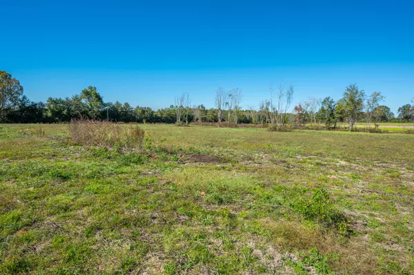 Laurel Hill, FL 32567,20A Acres Flowersview Boulevard