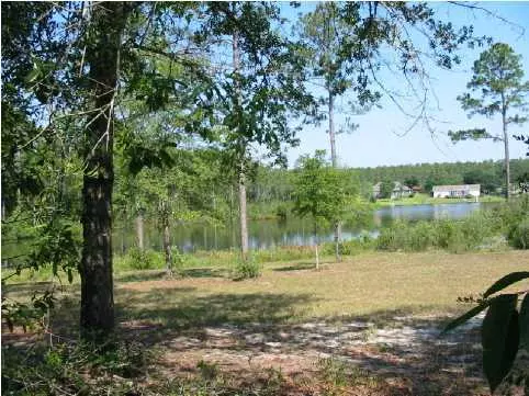 Defuniak Springs, FL 32433,LOT 4 Magnolia Lake Drive