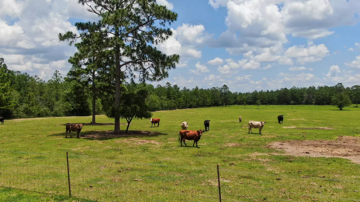 Defuniak Springs, FL 32433,10 AC Cherokee Lane