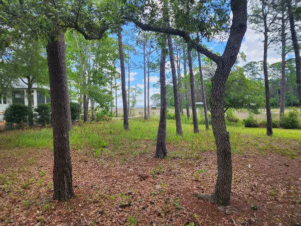 Santa Rosa Beach, FL 32459,Lot 2 Indiangrass Lane