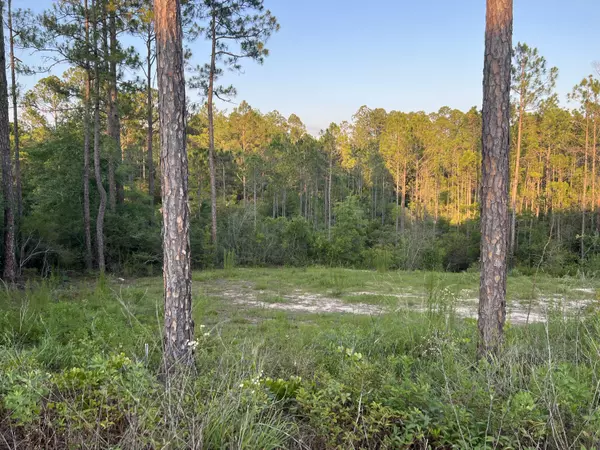 Lot 1 Eagle Way, Crestview, FL 32539