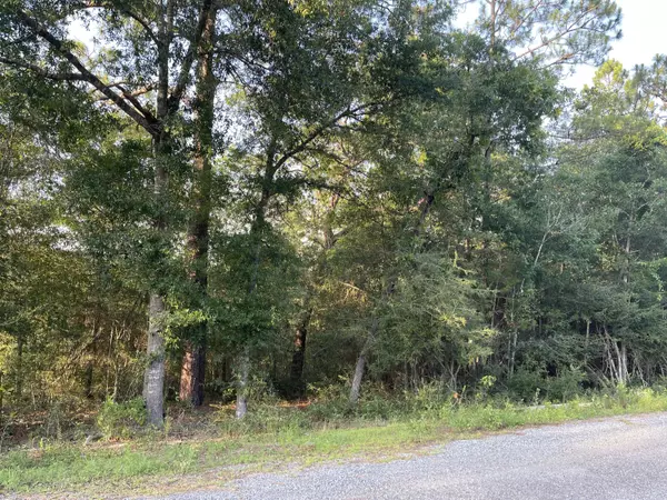 Defuniak Springs, FL 32433,Lot 10 Michaelangelo Road