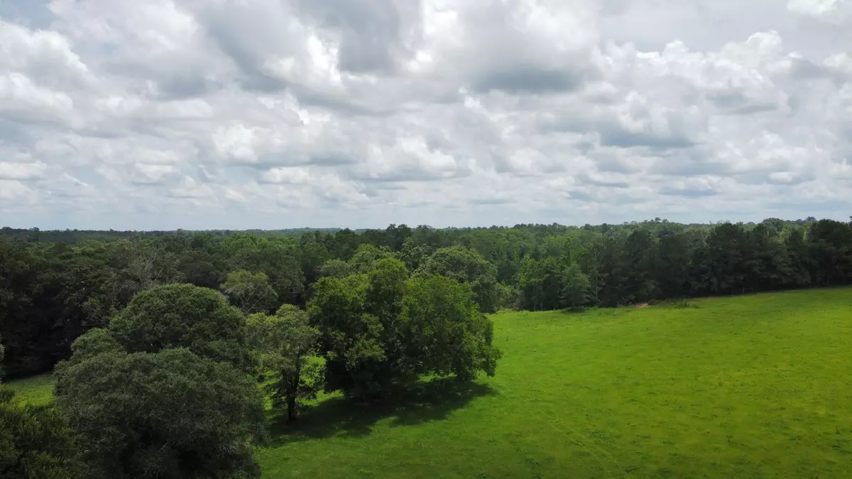 Westville, FL 32464,10 ac +- HWY 2A