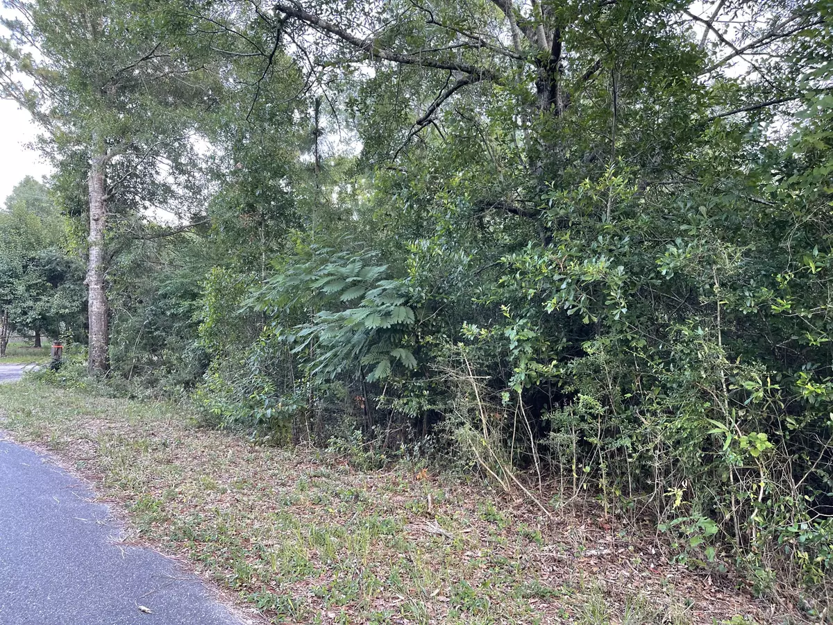 Crestview, FL 32539,Lot X Pinewoods Drive