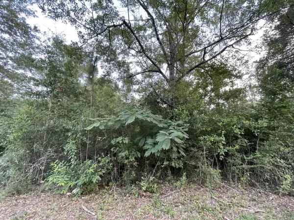 Crestview, FL 32539,Lot X Pinewoods Drive