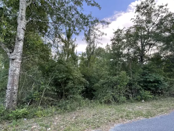 Crestview, FL 32539,Lot X Pinewoods Drive