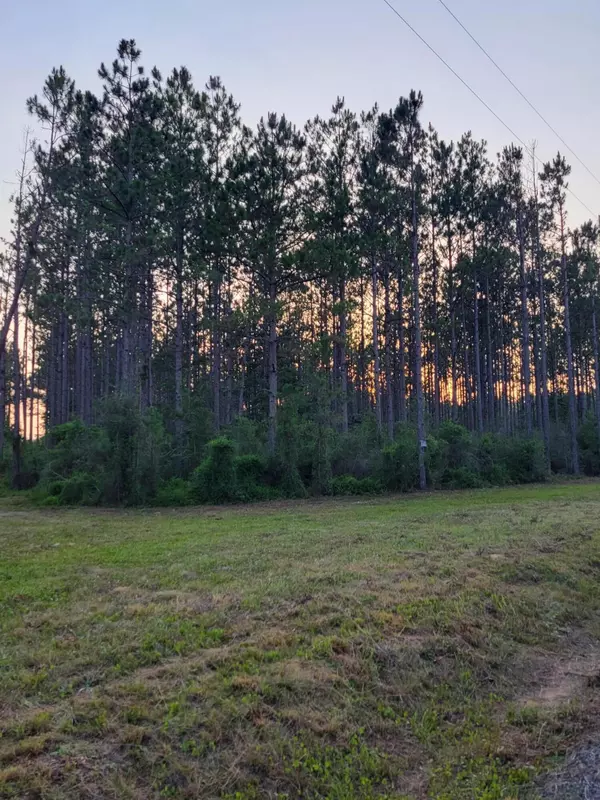 Defuniak Springs, FL 32433,10 acres Sandy Ramp Road