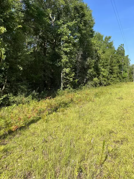 Lot 10 Elmwood Road, Defuniak Springs, FL 32433